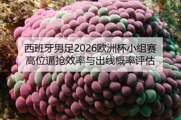 xi-ban-ya-nan-zu-ou-zhou-bei-xiao-zu-sai-gao-wei-bi-qiang-xiao-lv-yu-chu-xian-gai-lv-ping-gu-2-227.jpg